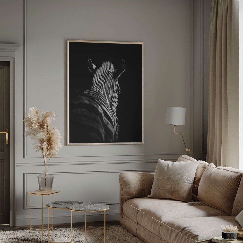Black Background Zebra Portrait Canvas Wall Art - 12