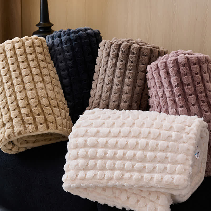 Raised Texture Reversible Polyester Fleece Blanket - 2