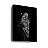 Black Background Zebra Portrait Canvas Wall Art - 1
