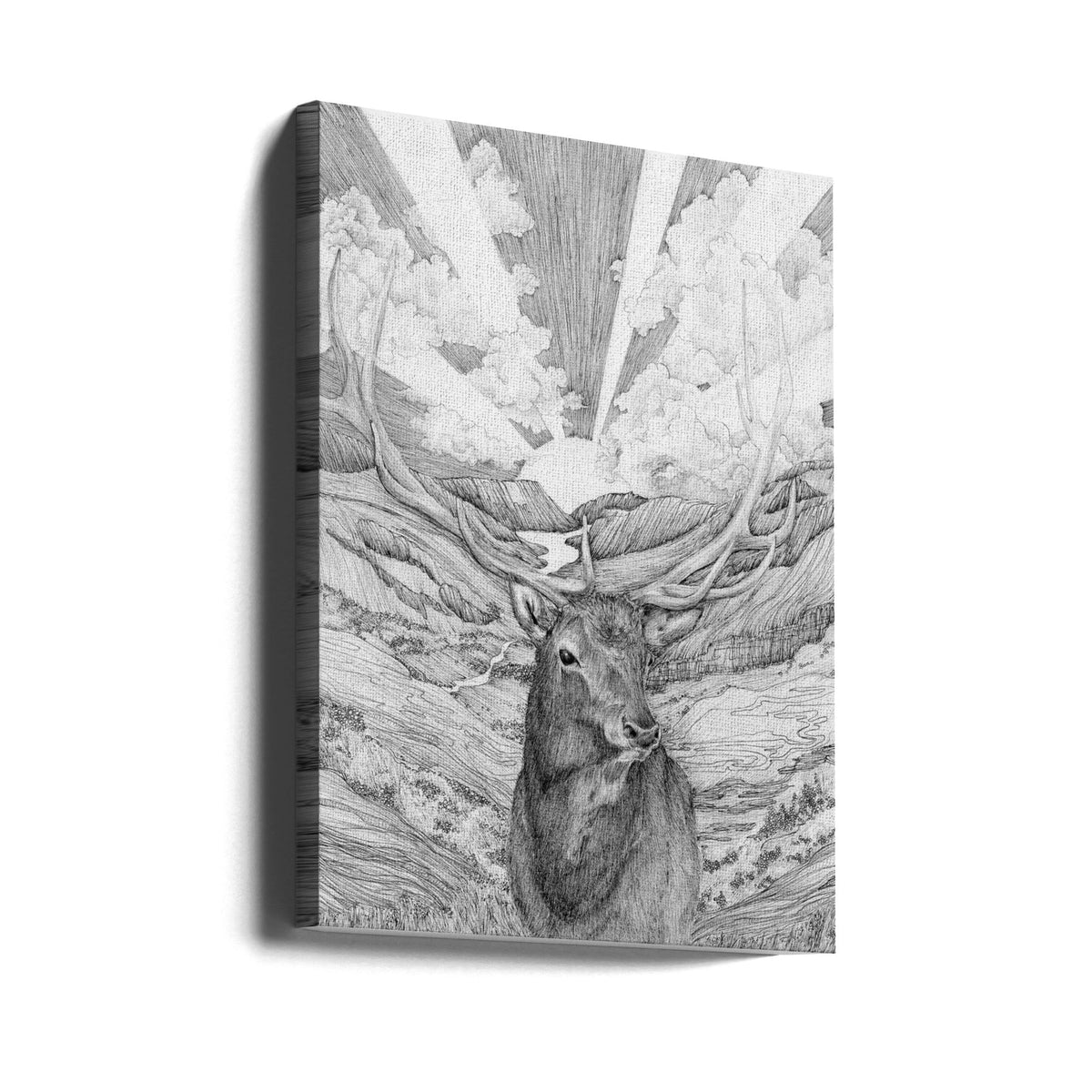 Monochrome Stag and Woodland Canvas Wall Art - 1
