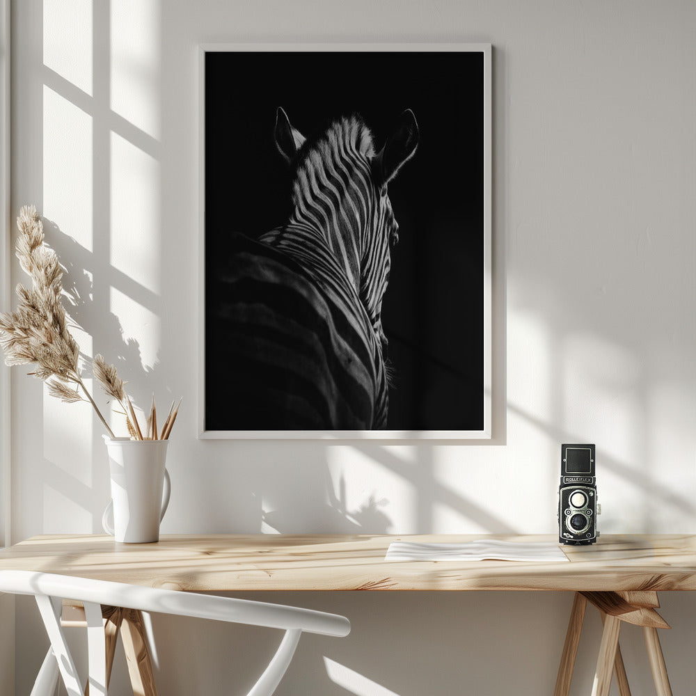 Black Background Zebra Portrait Canvas Wall Art - 6