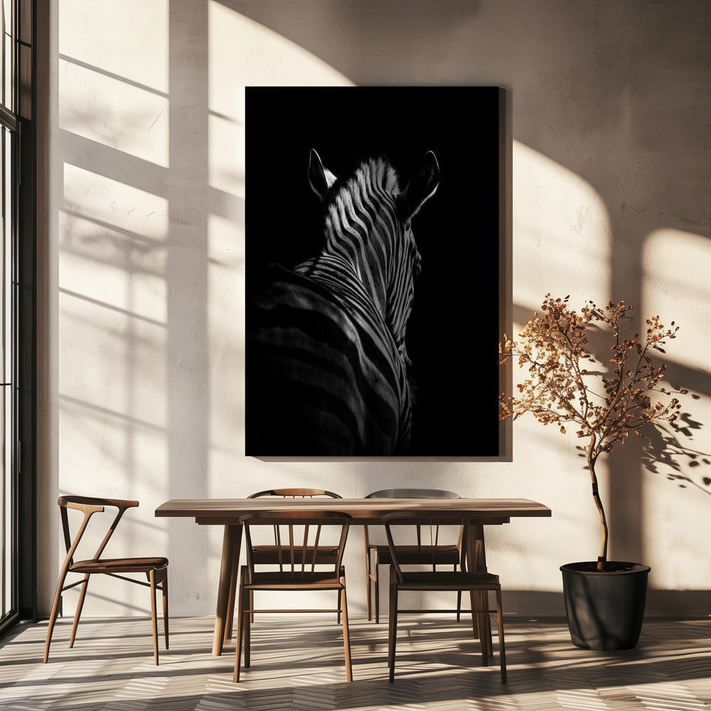 Black Background Zebra Portrait Canvas Wall Art - 5