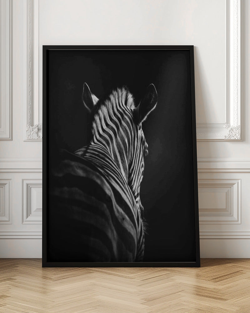 Black Background Zebra Portrait Canvas Wall Art - 4