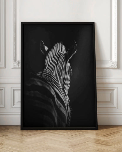 Black Background Zebra Portrait Canvas Wall Art - 4