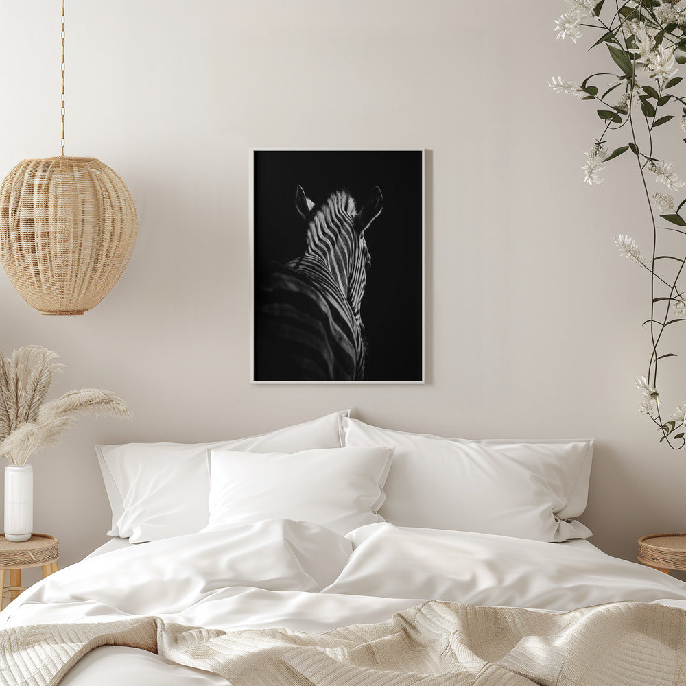 Black Background Zebra Portrait Canvas Wall Art - 11