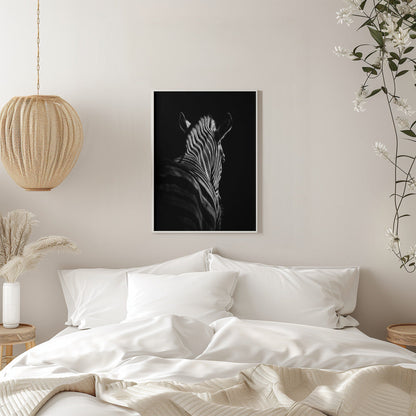 Black Background Zebra Portrait Canvas Wall Art - 11