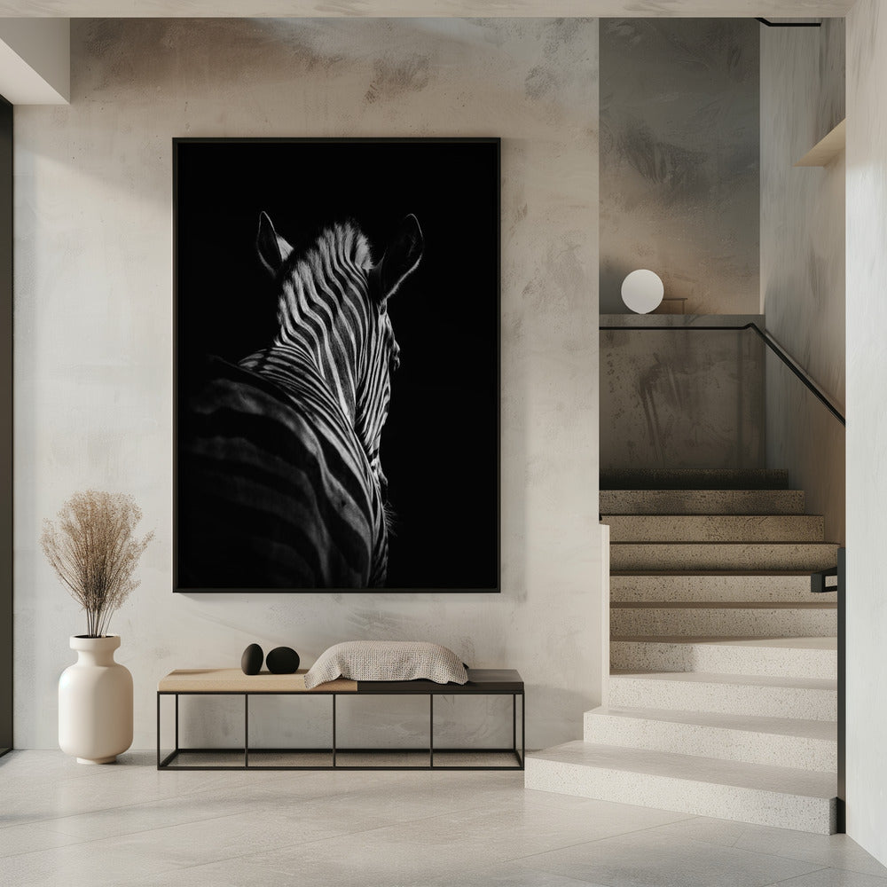 Black Background Zebra Portrait Canvas Wall Art - 7